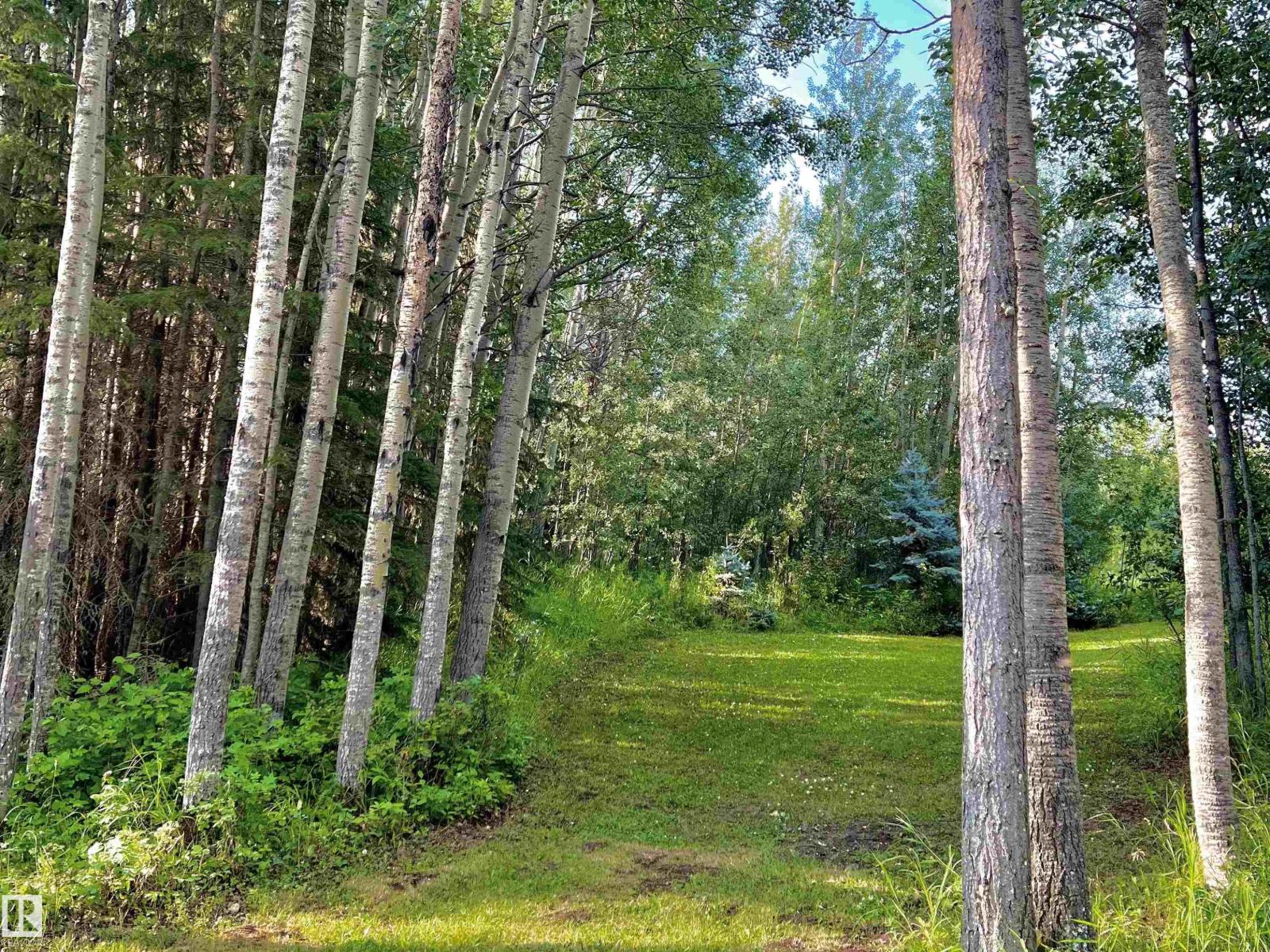 #7 Hauser’s Cove, Rural Wetaskiwin County, Alberta  T0C 0T0 - Photo 4 - E4459090