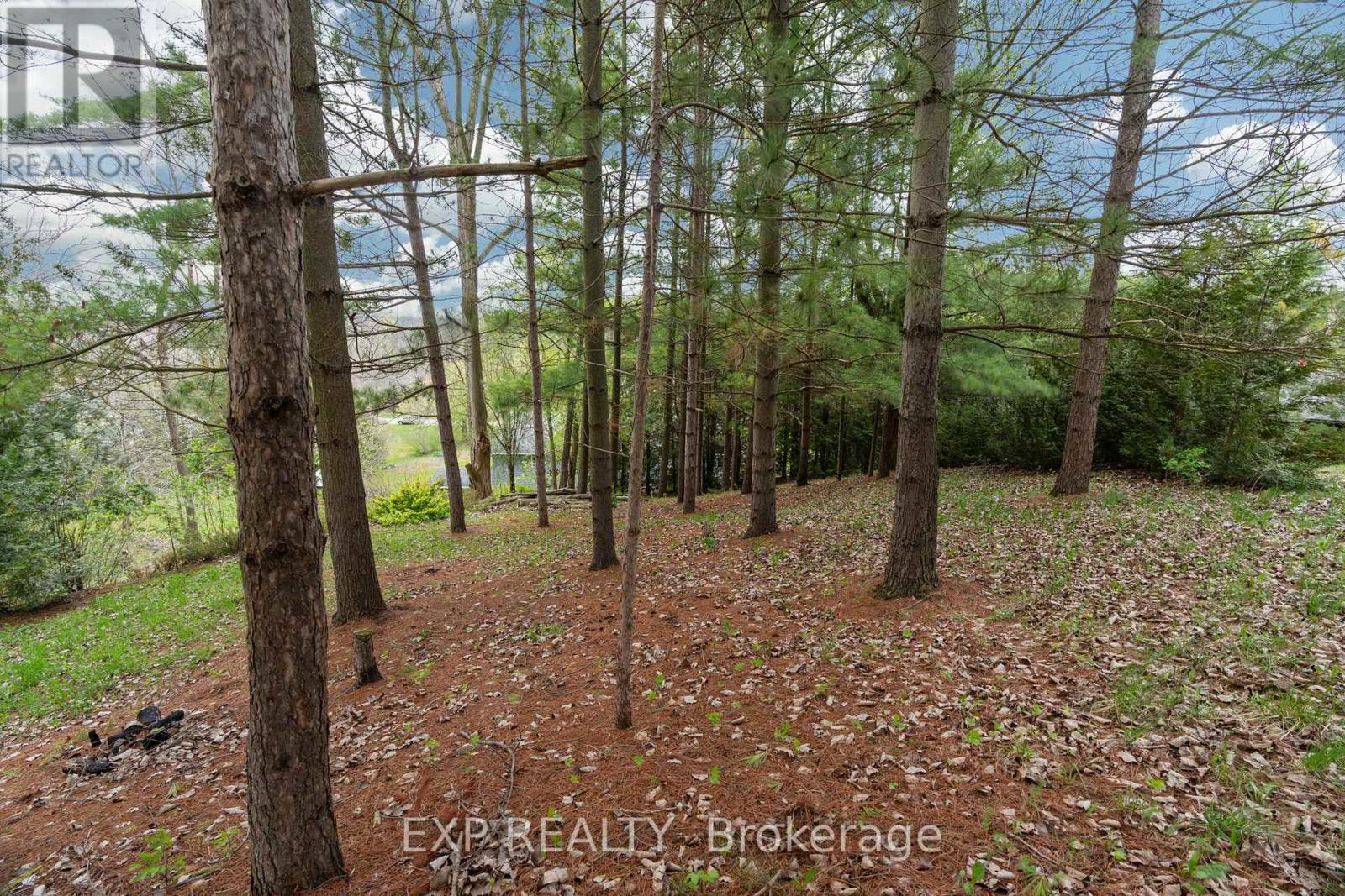 30680 Hungry Hollow Road, North Middlesex, Ontario  N0M 1B0 - Photo 41 - X12422253