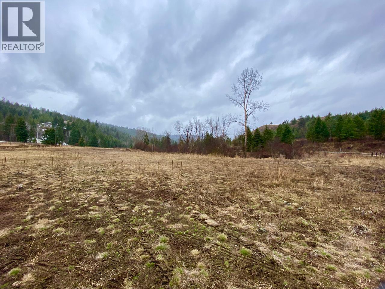 30 Lots Boundary Smelter Road, Greenwood, British Columbia  V0H 1J0 - Photo 9 - 2469965