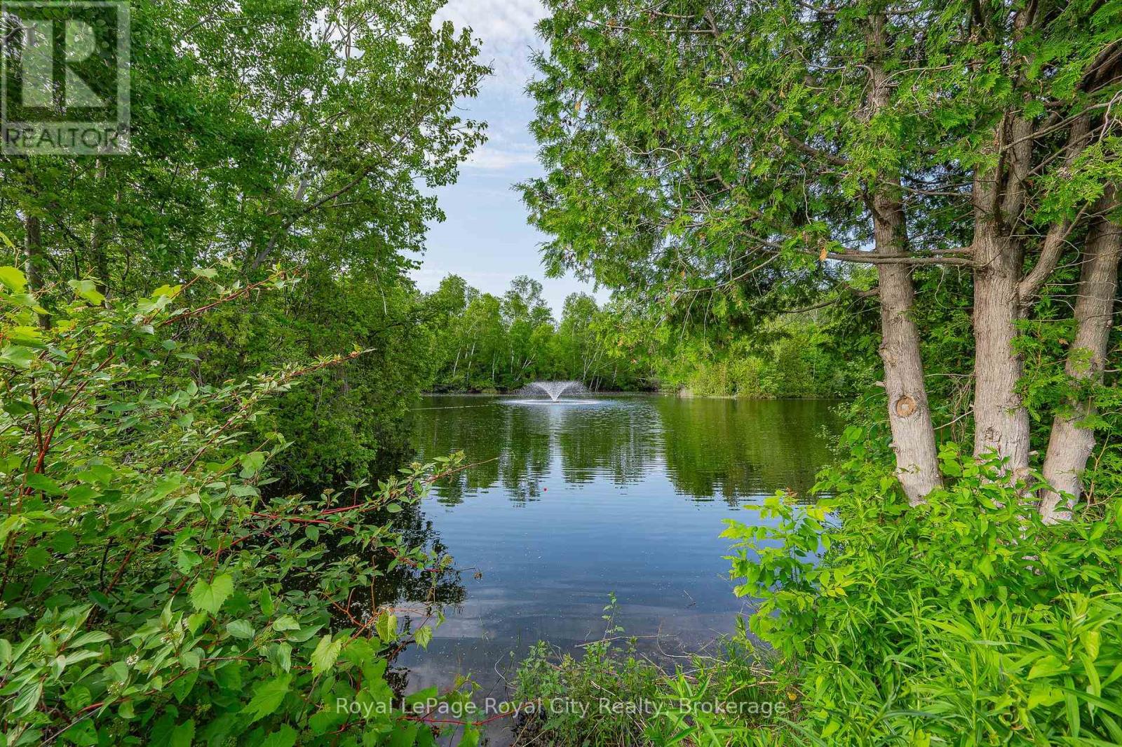 6 Water (Pvt) Street, Puslinch, Ontario  N1H 6H9 - Photo 29 - X12422338