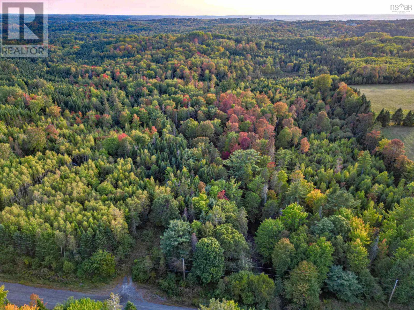 Lot Chesley Road, Barss Corner, Nova Scotia  B0R 1E0 - Photo 12 - 202524143