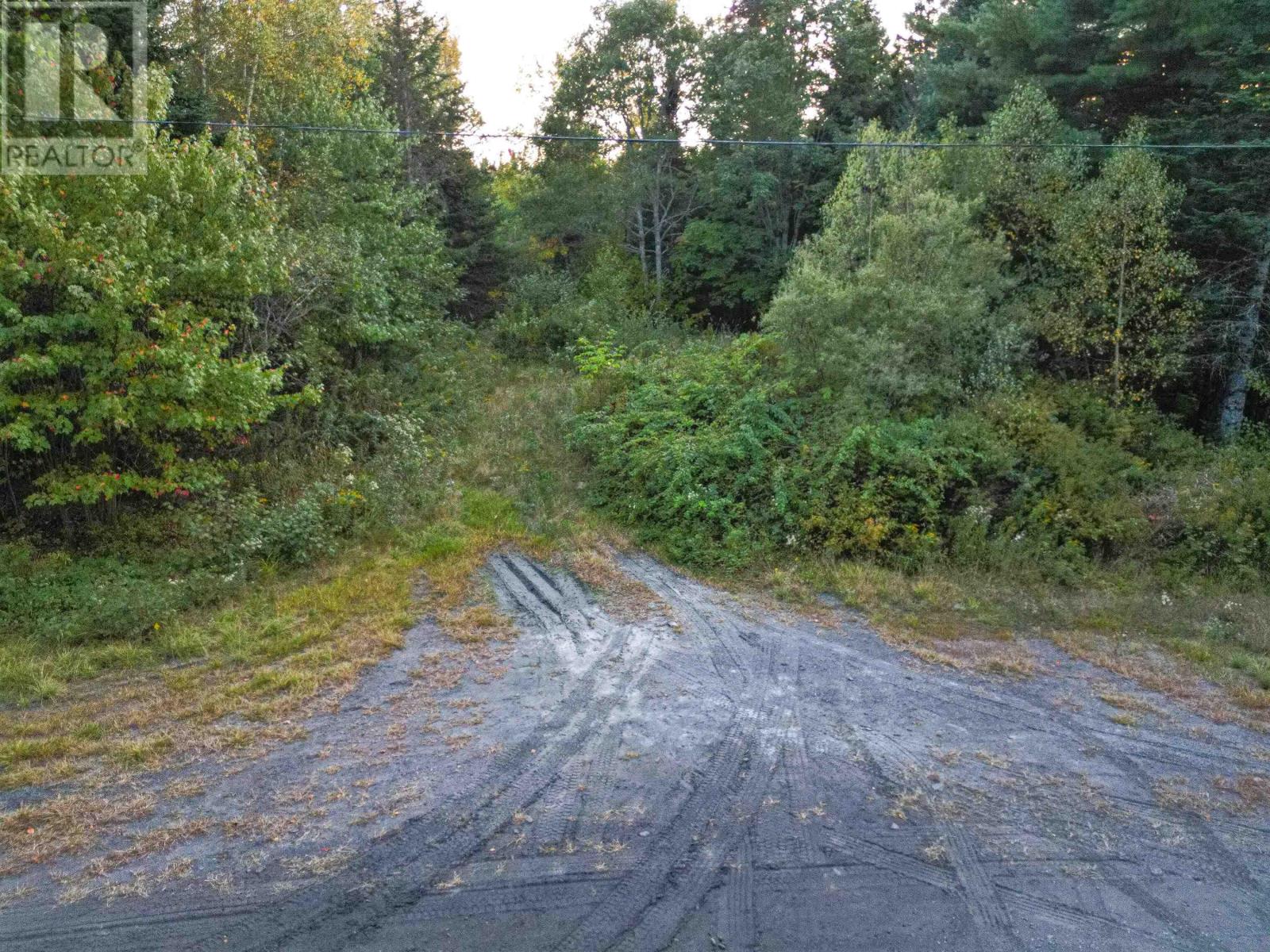 Lot Chesley Road, Barss Corner, Nova Scotia  B0R 1E0 - Photo 13 - 202524143