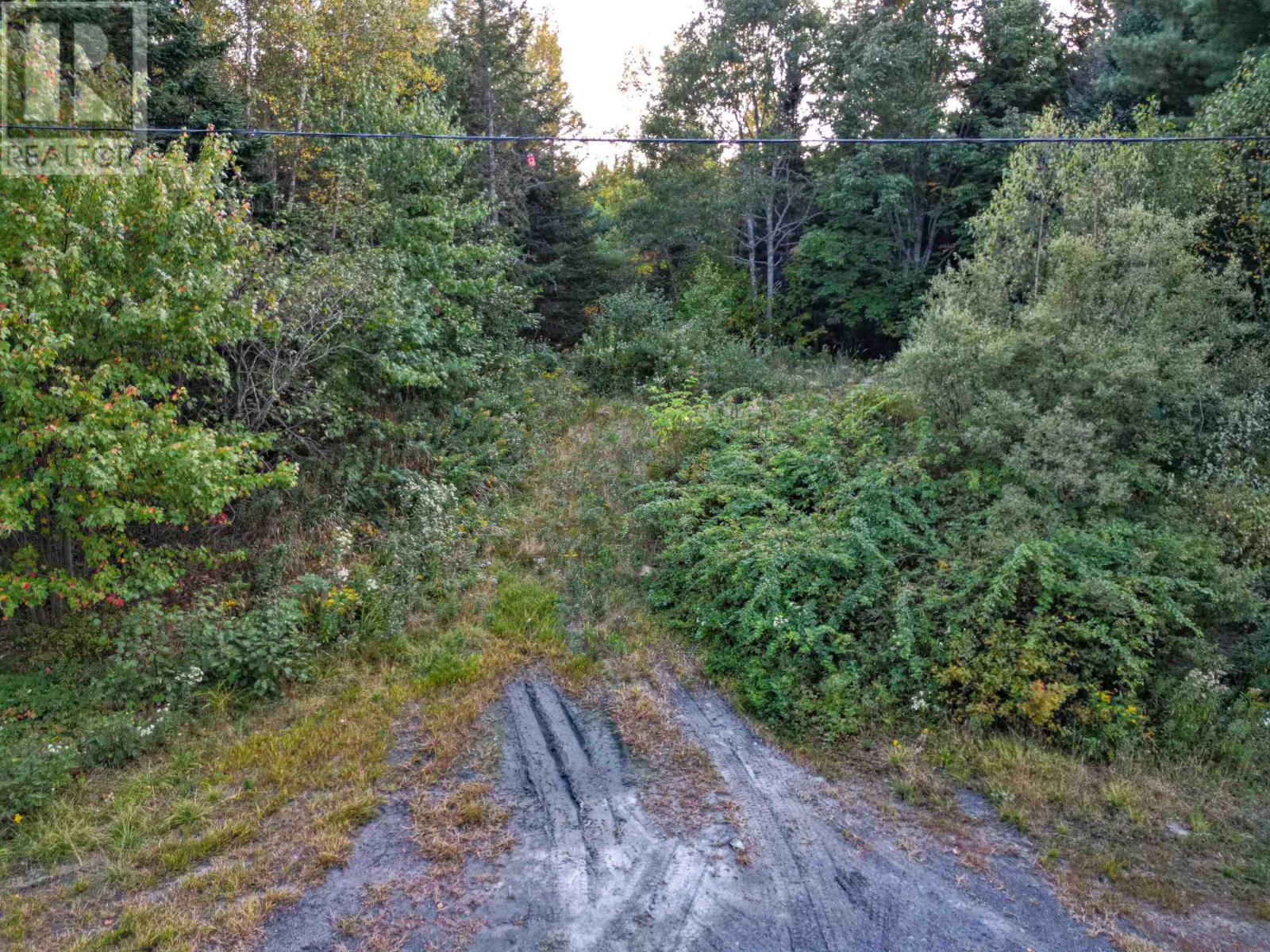 Lot Chesley Road, Barss Corner, Nova Scotia  B0R 1E0 - Photo 14 - 202524143