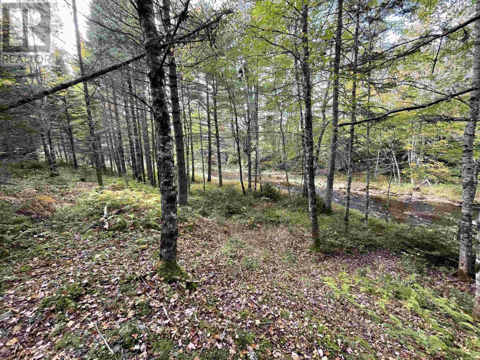 Lot Chesley Road, Barss Corner, Nova Scotia  B0R 1E0 - Photo 15 - 202524143
