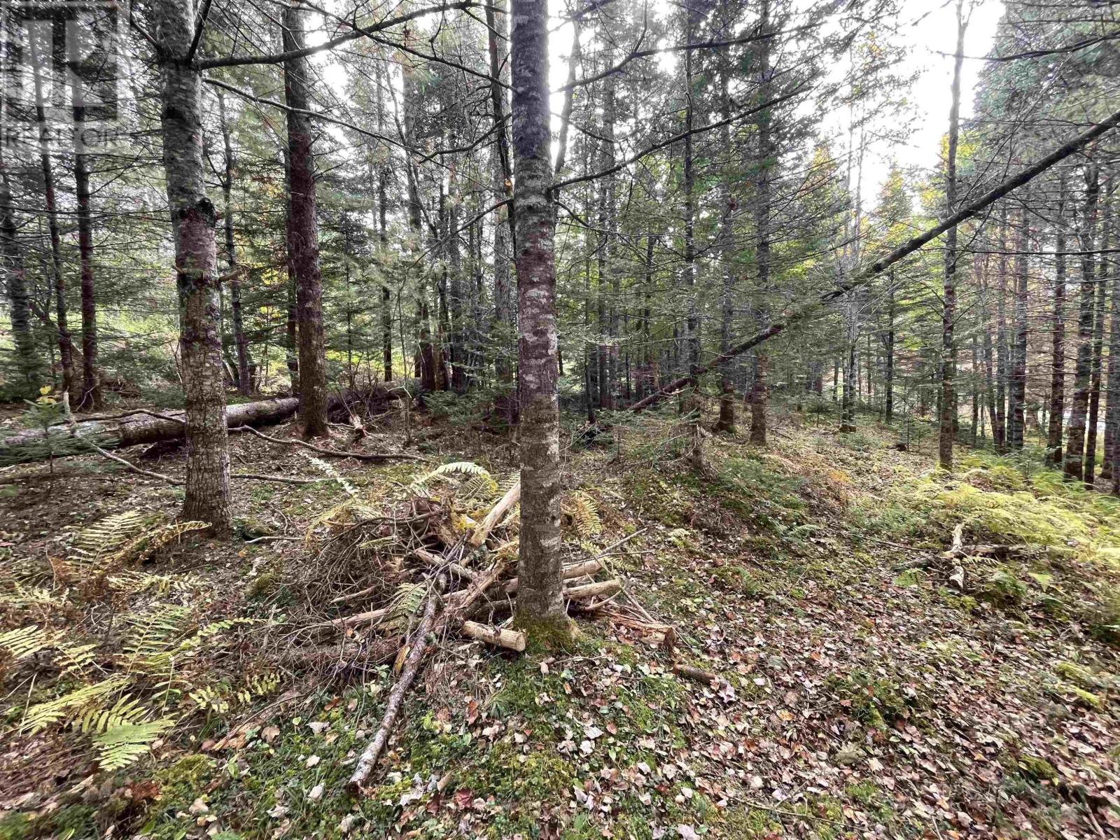 Lot Chesley Road, Barss Corner, Nova Scotia  B0R 1E0 - Photo 16 - 202524143