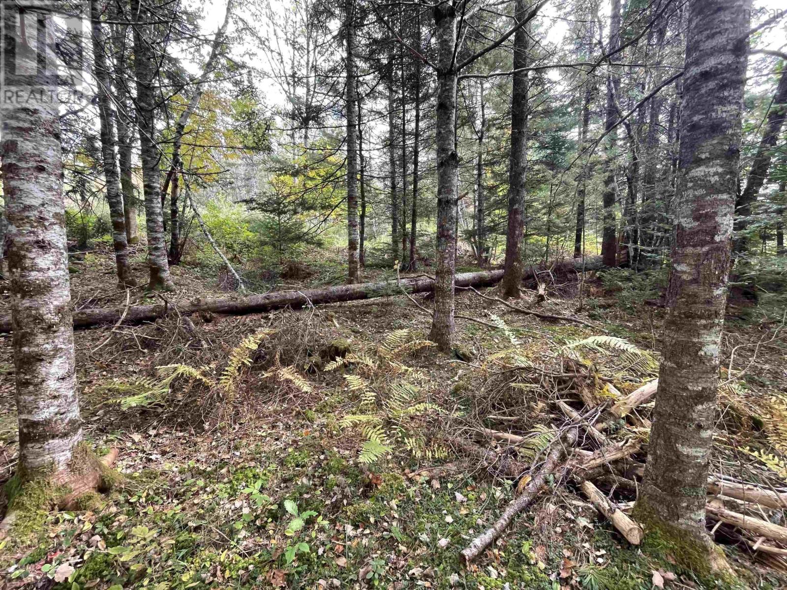 Lot Chesley Road, Barss Corner, Nova Scotia  B0R 1E0 - Photo 17 - 202524143