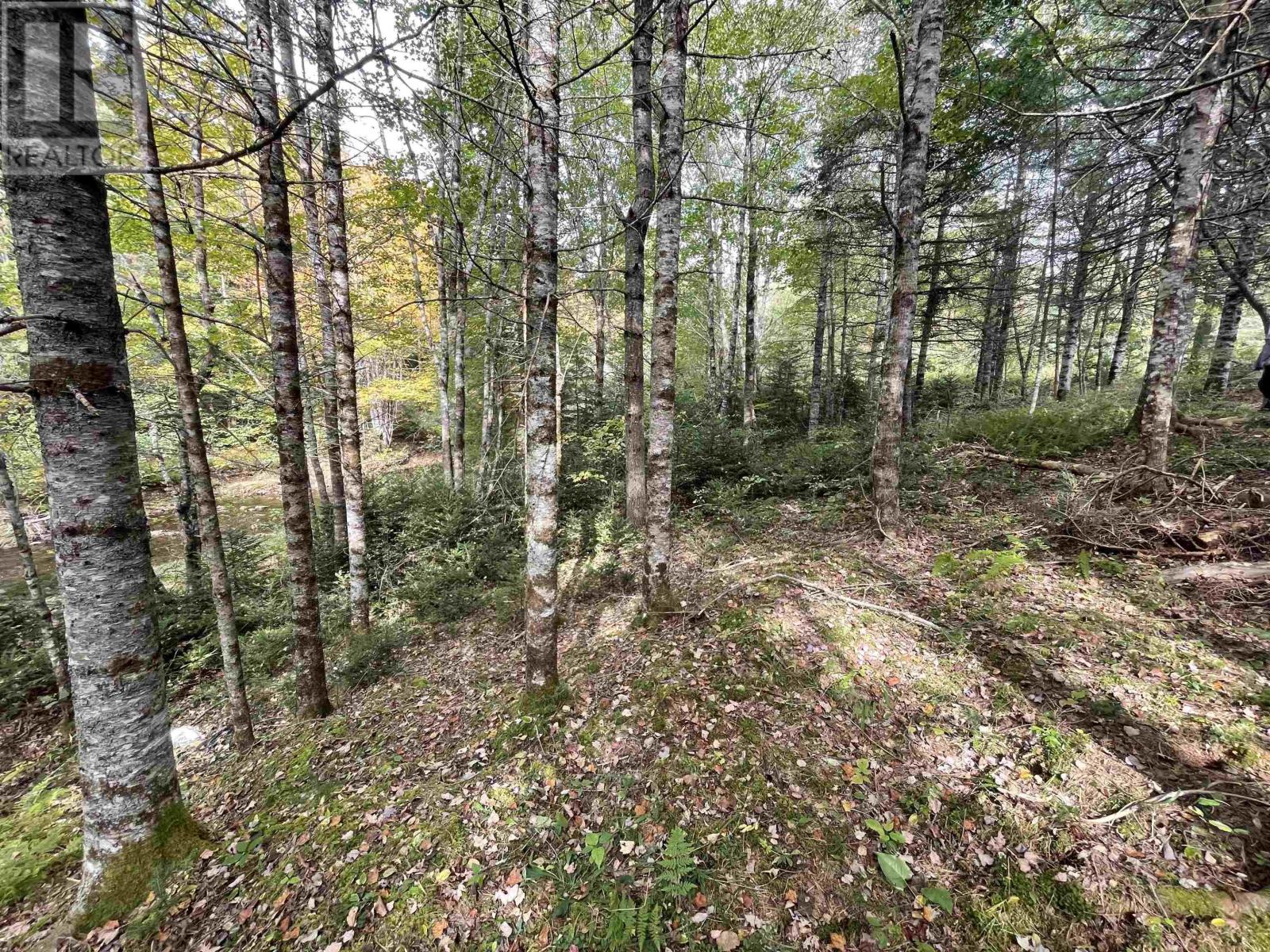 Lot Chesley Road, Barss Corner, Nova Scotia  B0R 1E0 - Photo 18 - 202524143