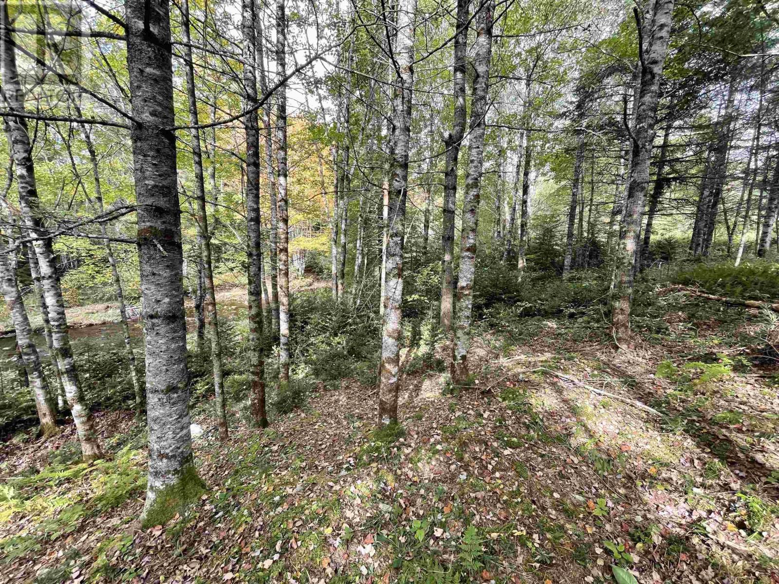 Lot Chesley Road, Barss Corner, Nova Scotia  B0R 1E0 - Photo 19 - 202524143
