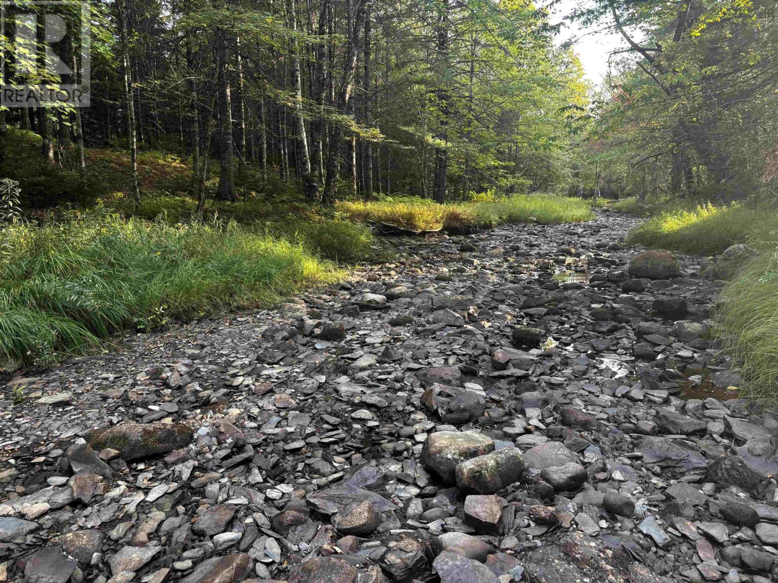 Lot Chesley Road, Barss Corner, Nova Scotia  B0R 1E0 - Photo 20 - 202524143