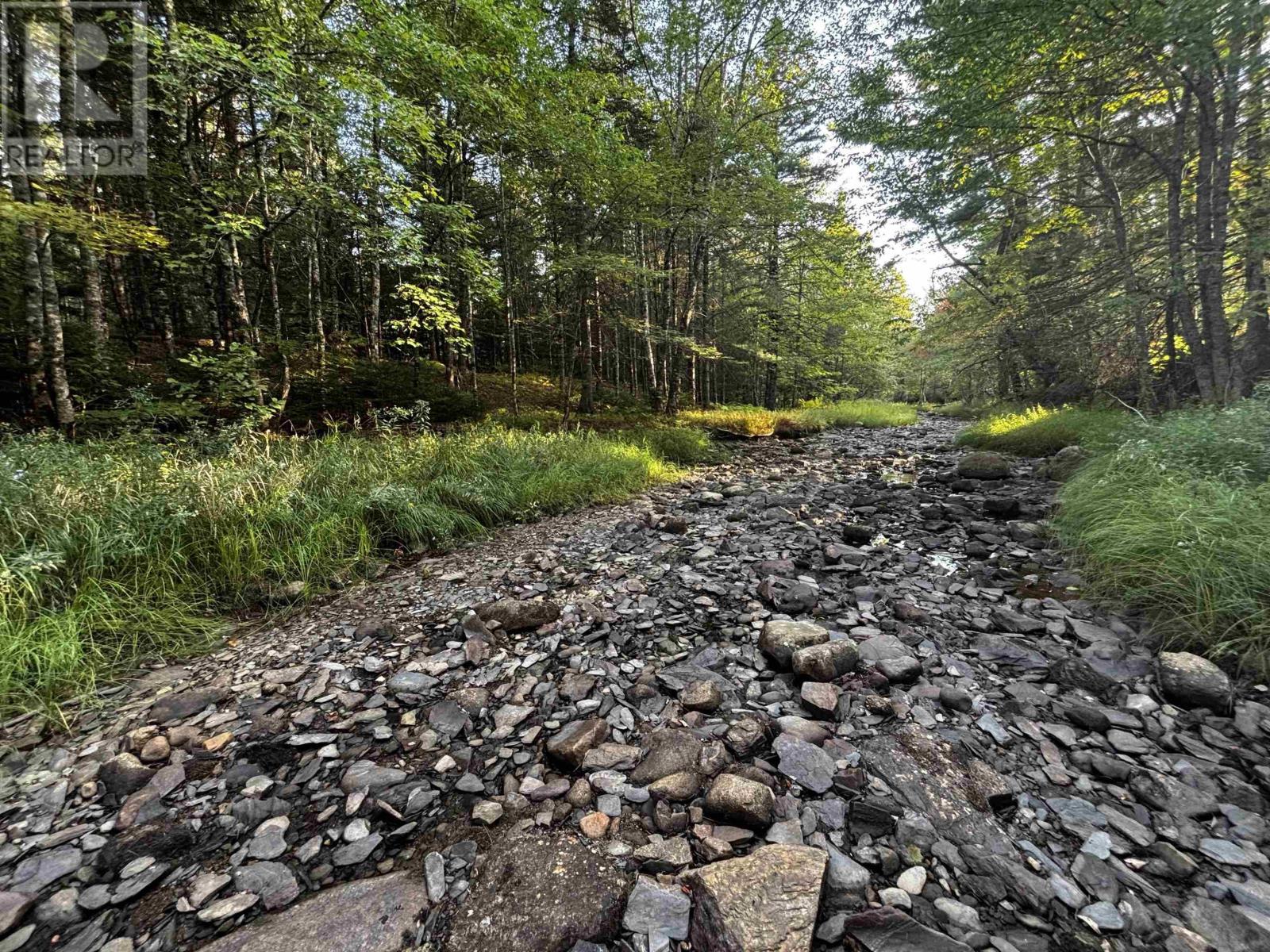 Lot Chesley Road, Barss Corner, Nova Scotia  B0R 1E0 - Photo 21 - 202524143