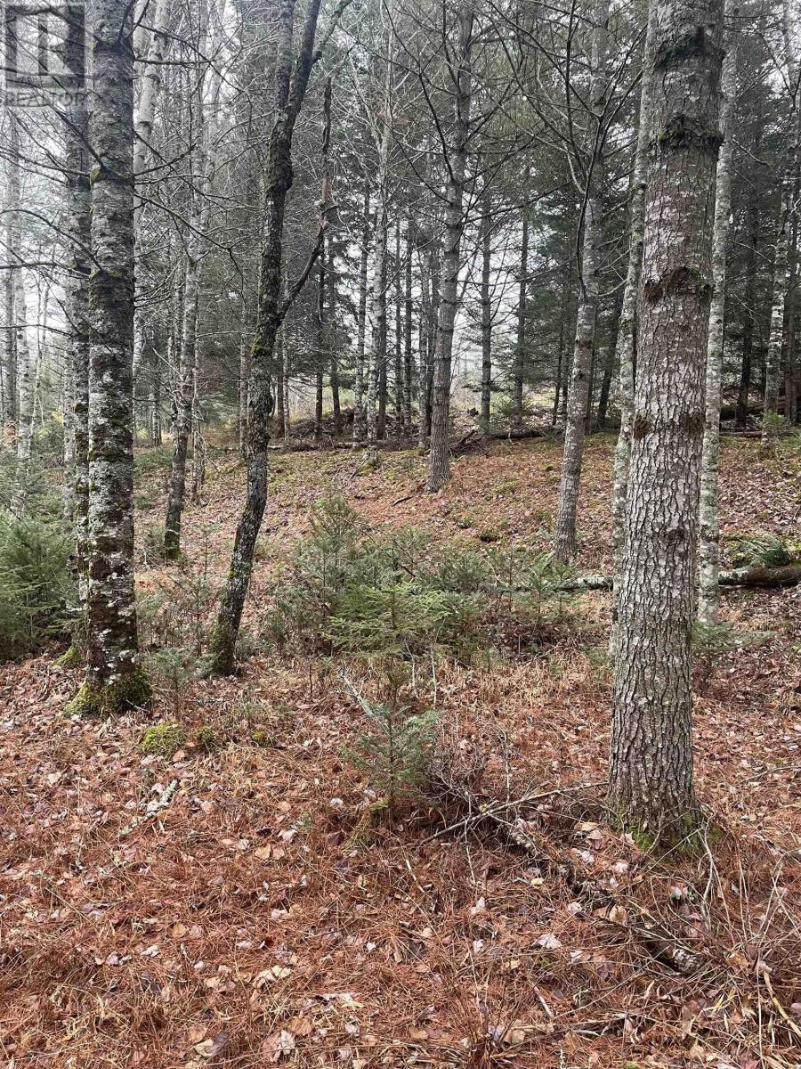 Lot Chesley Road, Barss Corner, Nova Scotia  B0R 1E0 - Photo 24 - 202524143