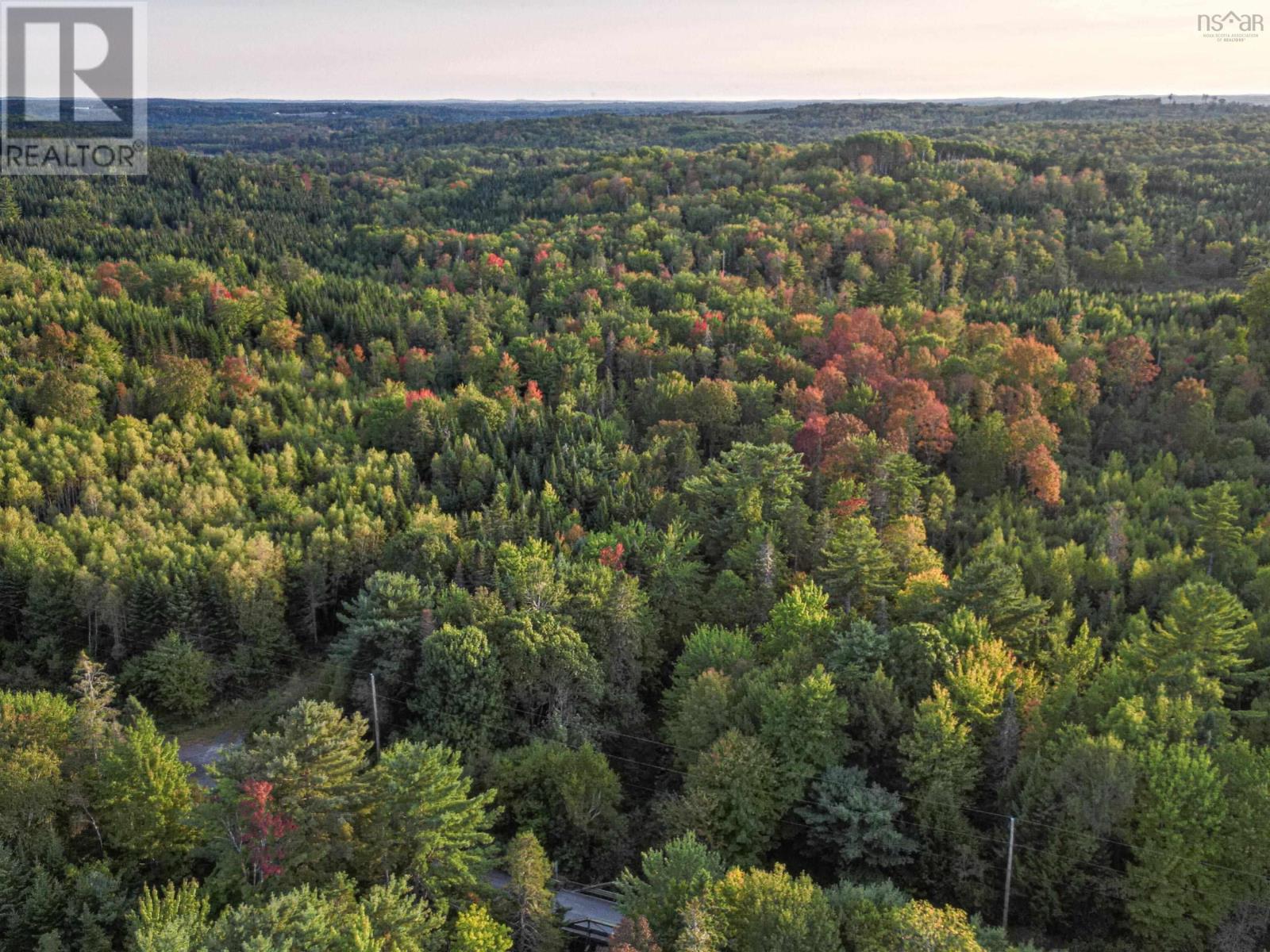 Lot Chesley Road, Barss Corner, Nova Scotia  B0R 1E0 - Photo 4 - 202524143