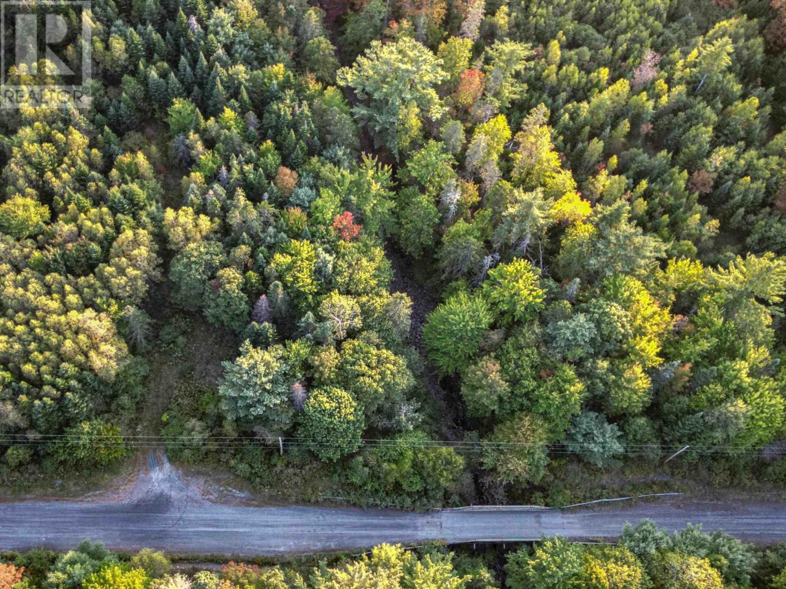 Lot Chesley Road, Barss Corner, Nova Scotia  B0R 1E0 - Photo 6 - 202524143