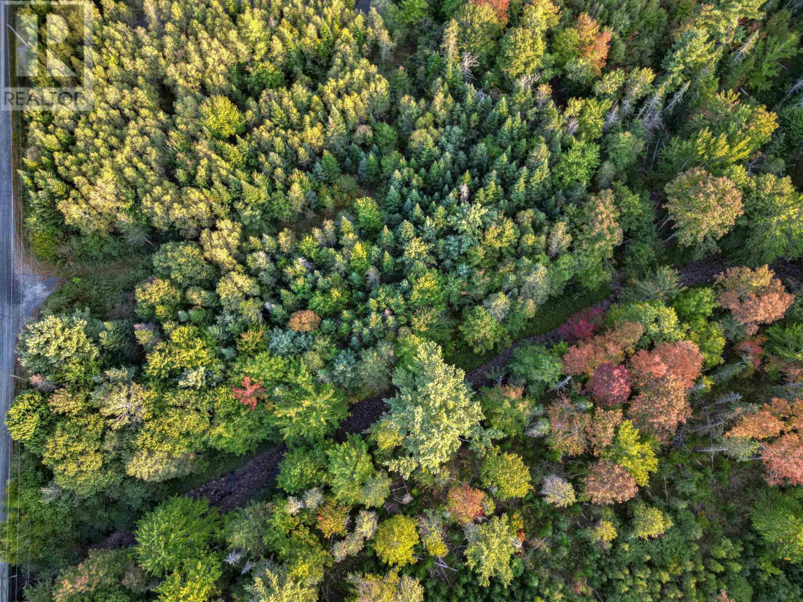 Lot Chesley Road, Barss Corner, Nova Scotia  B0R 1E0 - Photo 8 - 202524143