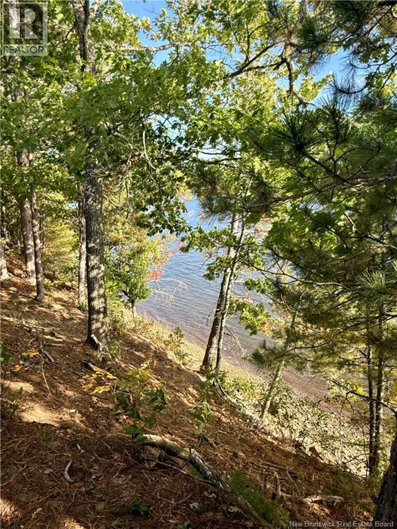 1173 Route 425, Whitney, New Brunswick  E1V 4L3 - Photo 7 - NB124436