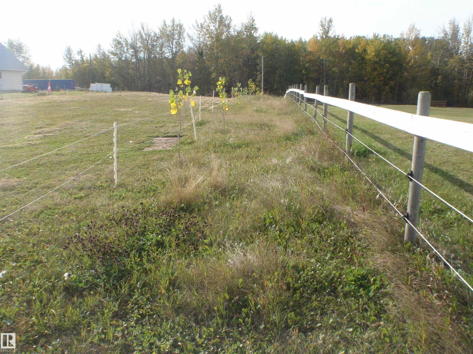 230 59518 Rge Rd 55, Rural Barrhead County, Alberta  T7N 1N3 - Photo 21 - E4458995