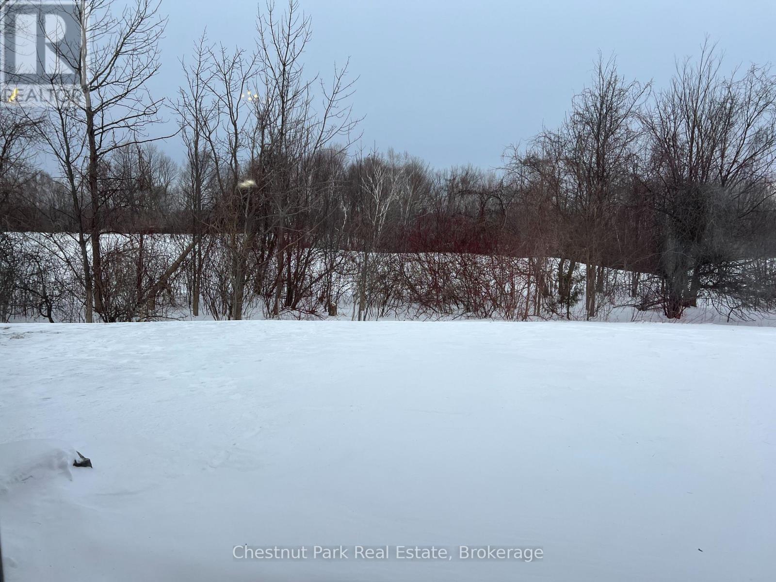 123 - 170 Snowbridge Way, Blue Mountains, Ontario  L9Y 0V1 - Photo 4 - X11955327