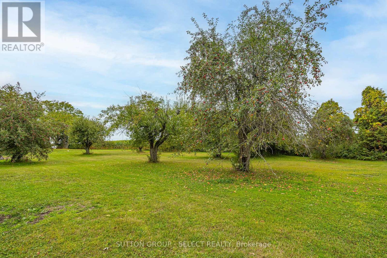 71479 Babylon Line, Bluewater, Ontario  N0M 2T0 - Photo 35 - X12422364