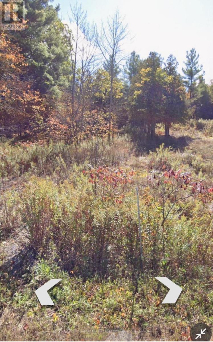 82 Glen Ridge Road, Marmora And Lake, Ontario  K0K 2M0 - Photo 2 - X12422422