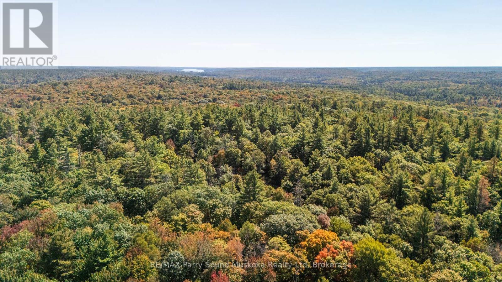 72 Mccauley Road, Seguin, Ontario  P0C 1J0 - Photo 11 - X12422546