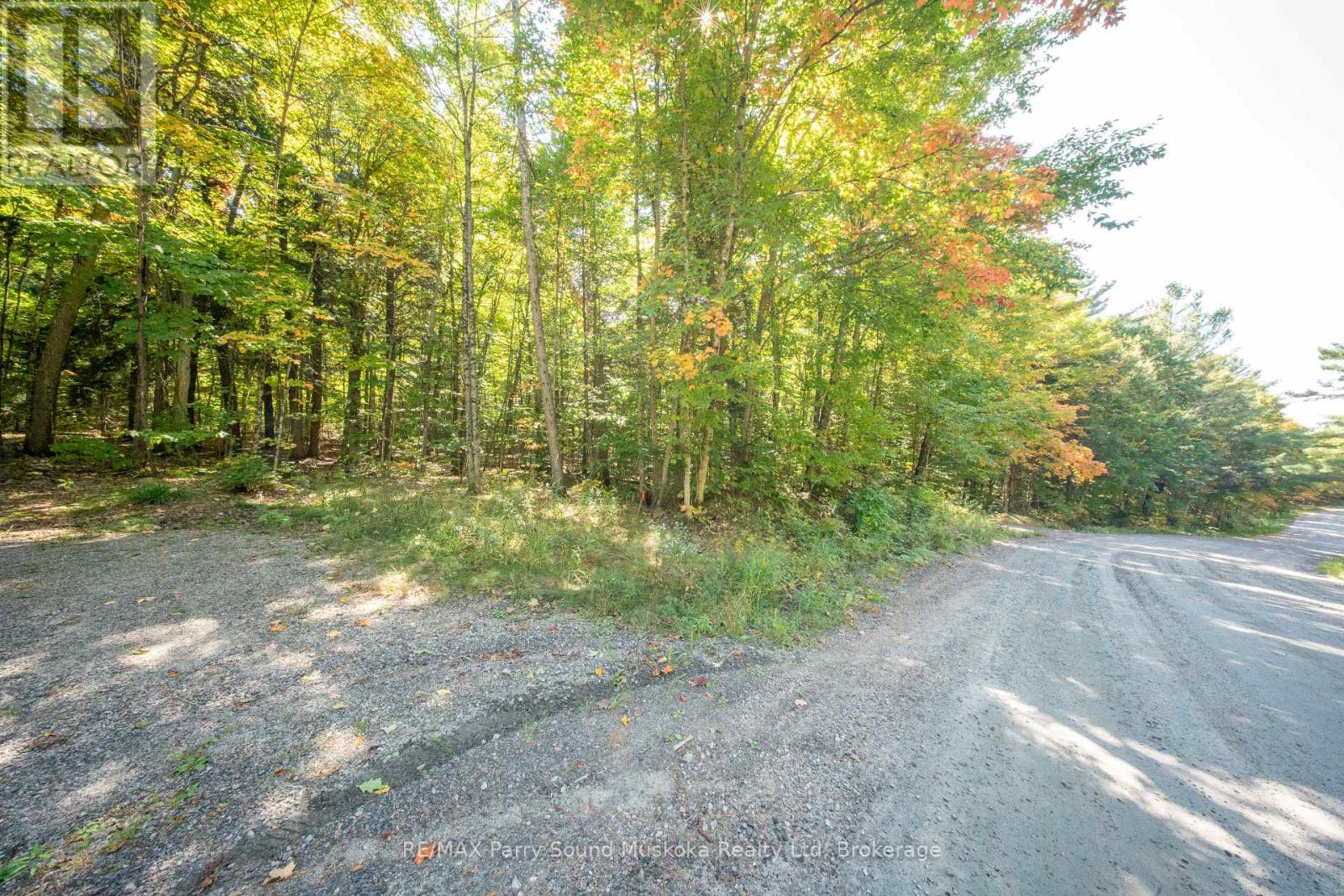 72 Mccauley Road, Seguin, Ontario  P0C 1J0 - Photo 19 - X12422546