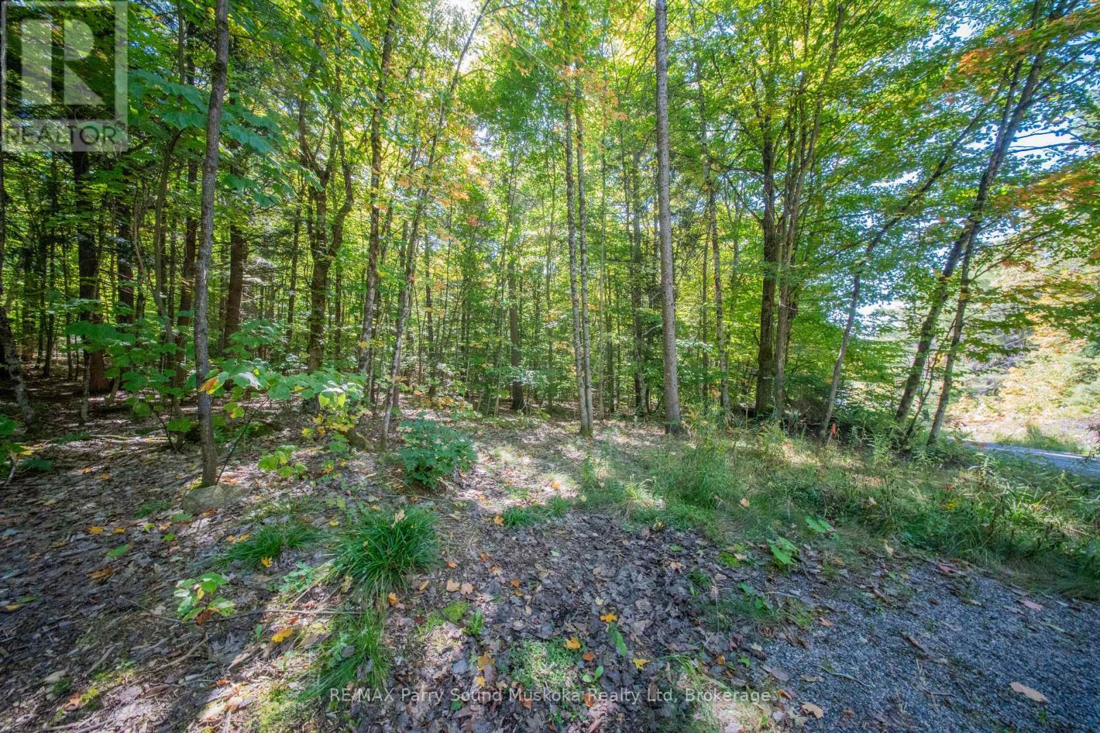 72 Mccauley Road, Seguin, Ontario  P0C 1J0 - Photo 2 - X12422546