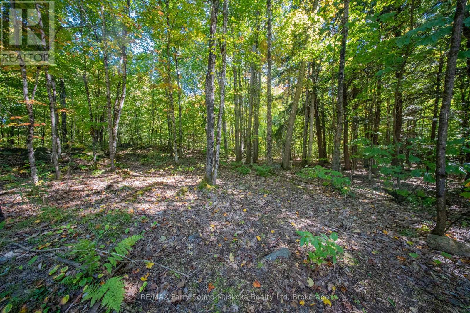72 Mccauley Road, Seguin, Ontario  P0C 1J0 - Photo 20 - X12422546