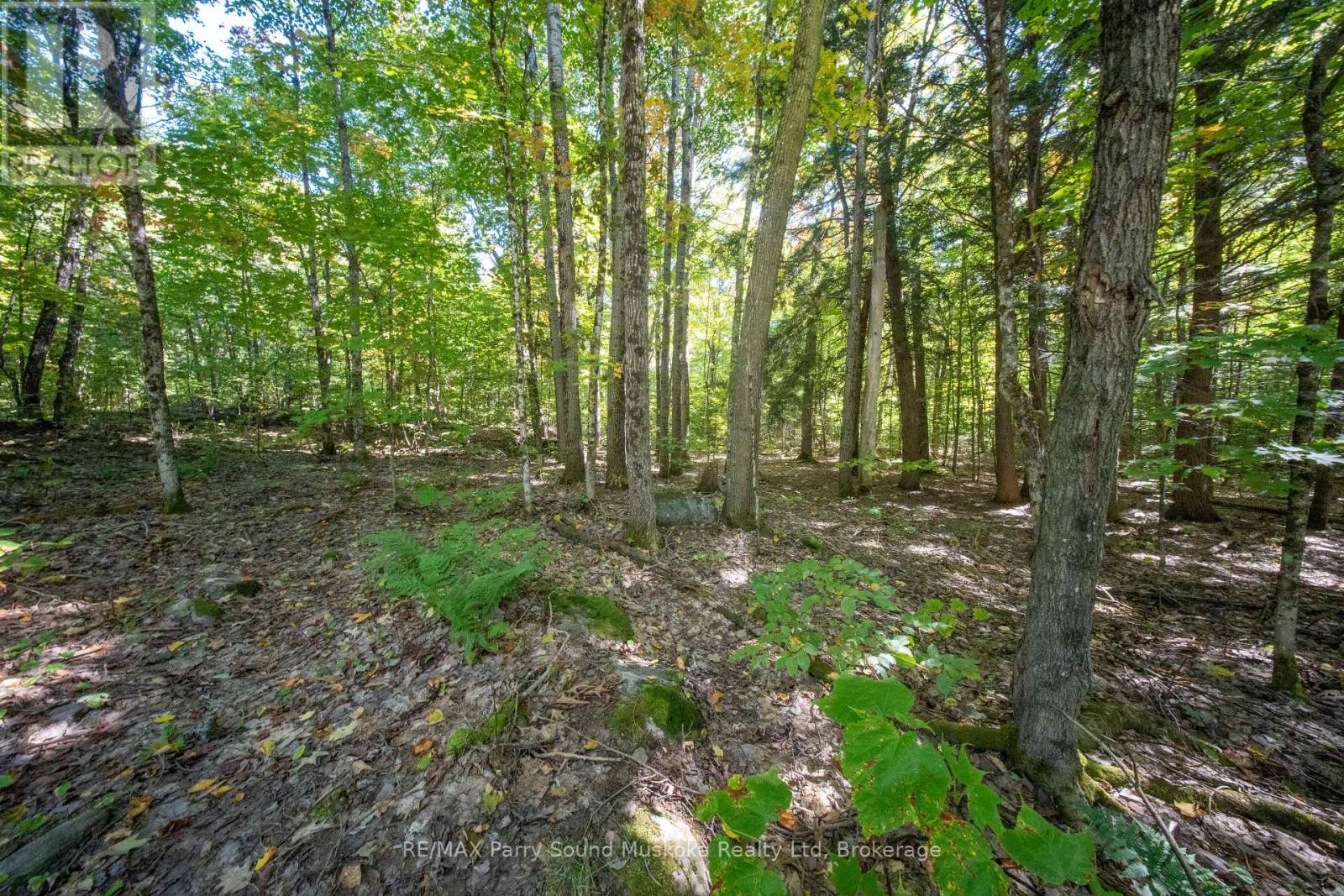 72 Mccauley Road, Seguin, Ontario  P0C 1J0 - Photo 22 - X12422546