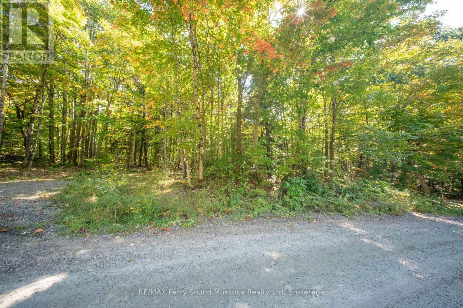 72 Mccauley Road, Seguin, Ontario  P0C 1J0 - Photo 23 - X12422546