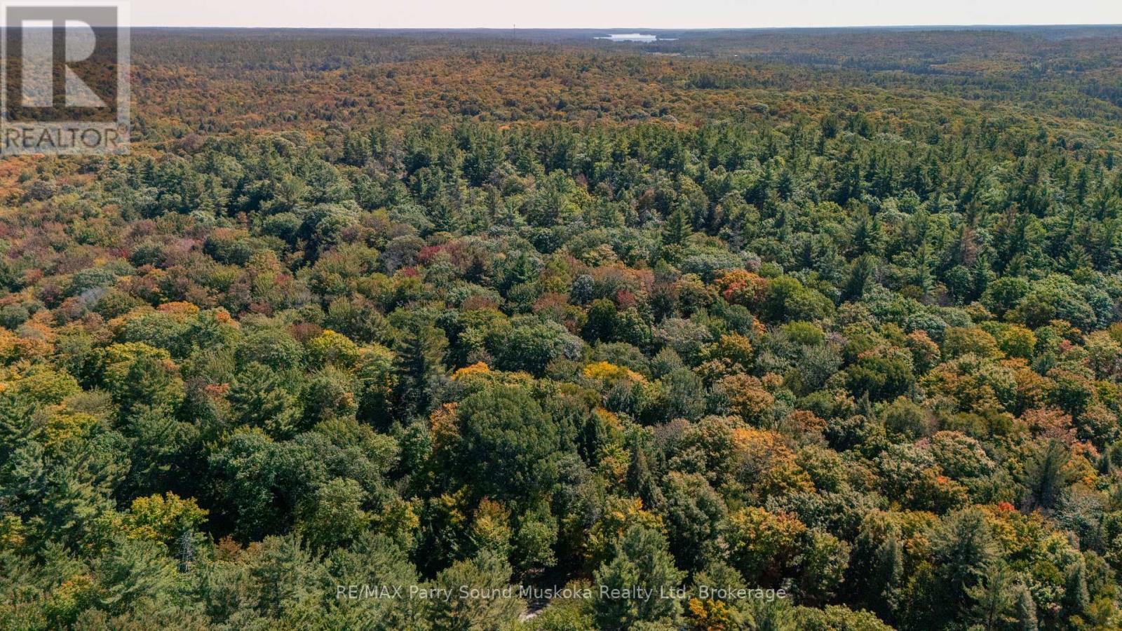 72 Mccauley Road, Seguin, Ontario  P0C 1J0 - Photo 3 - X12422546