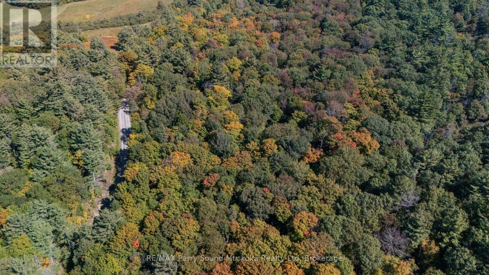 72 Mccauley Road, Seguin, Ontario  P0C 1J0 - Photo 6 - X12422546