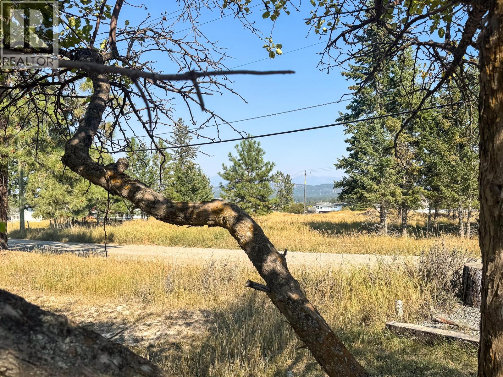 1405 12th Avenue S, Cranbrook, British Columbia  V1C 2T6 - Photo 26 - 10363694