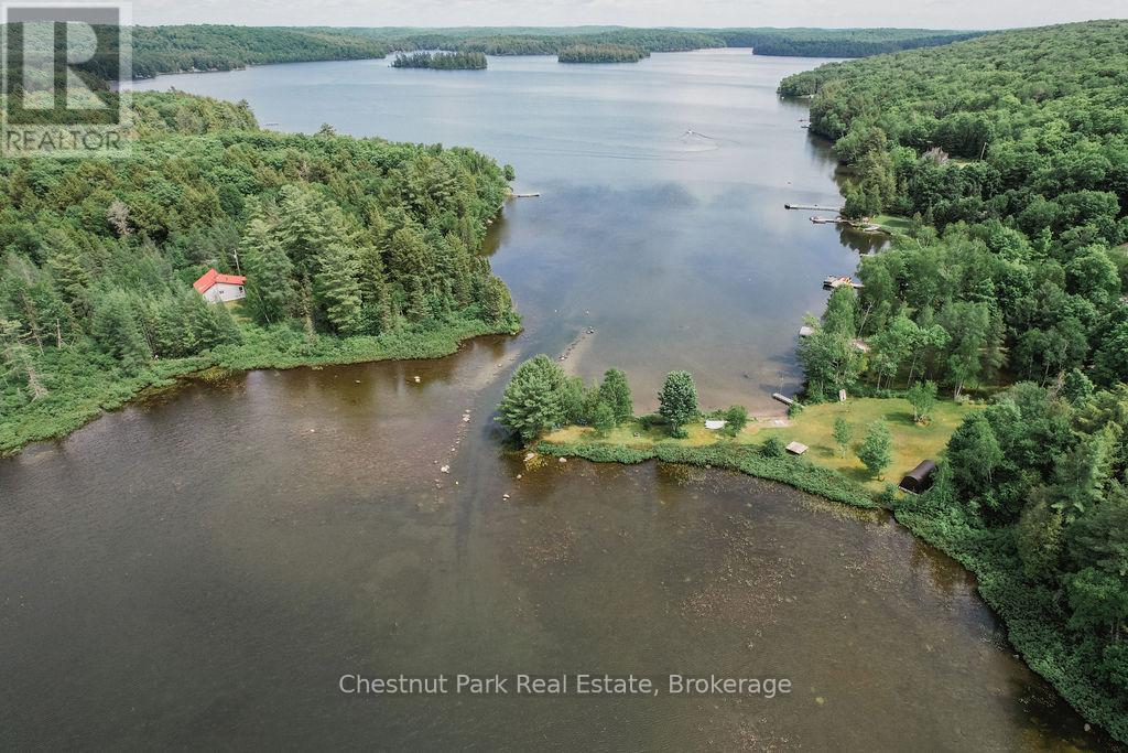 893 Relative Road, Armour, Ontario  P0A 1C0 - Photo 4 - X12422574