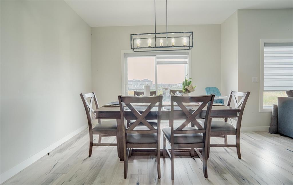 60 David George Drive, Winnipeg, Manitoba  R3W 0P4 - Photo 8 - 202523432