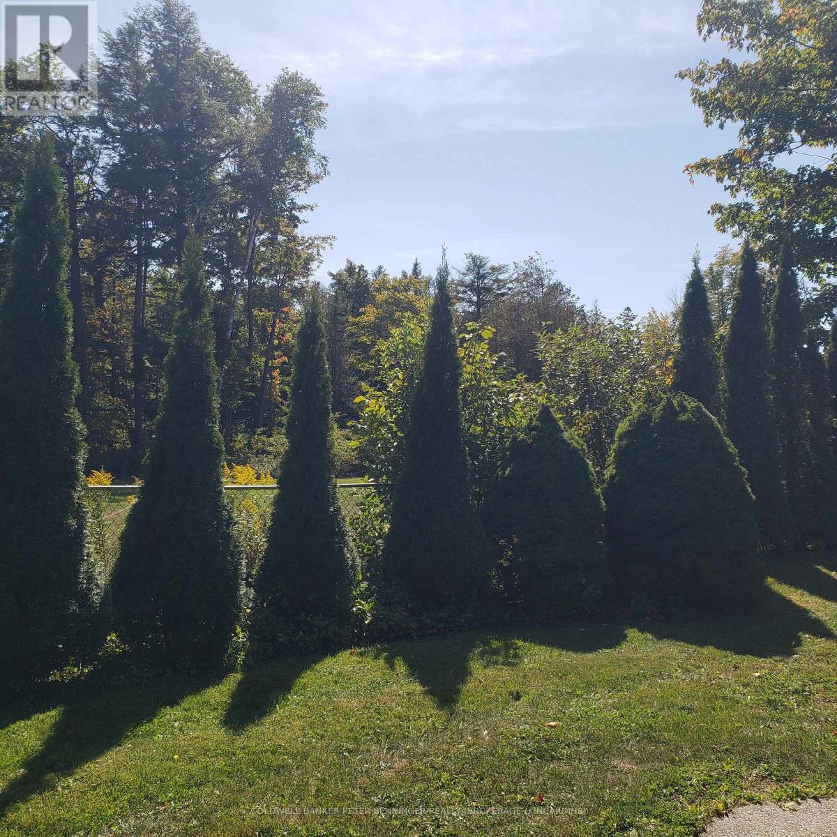 205 London Road, Huron-Kinloss, Ontario  N2Z 2X3 - Photo 31 - X11823108
