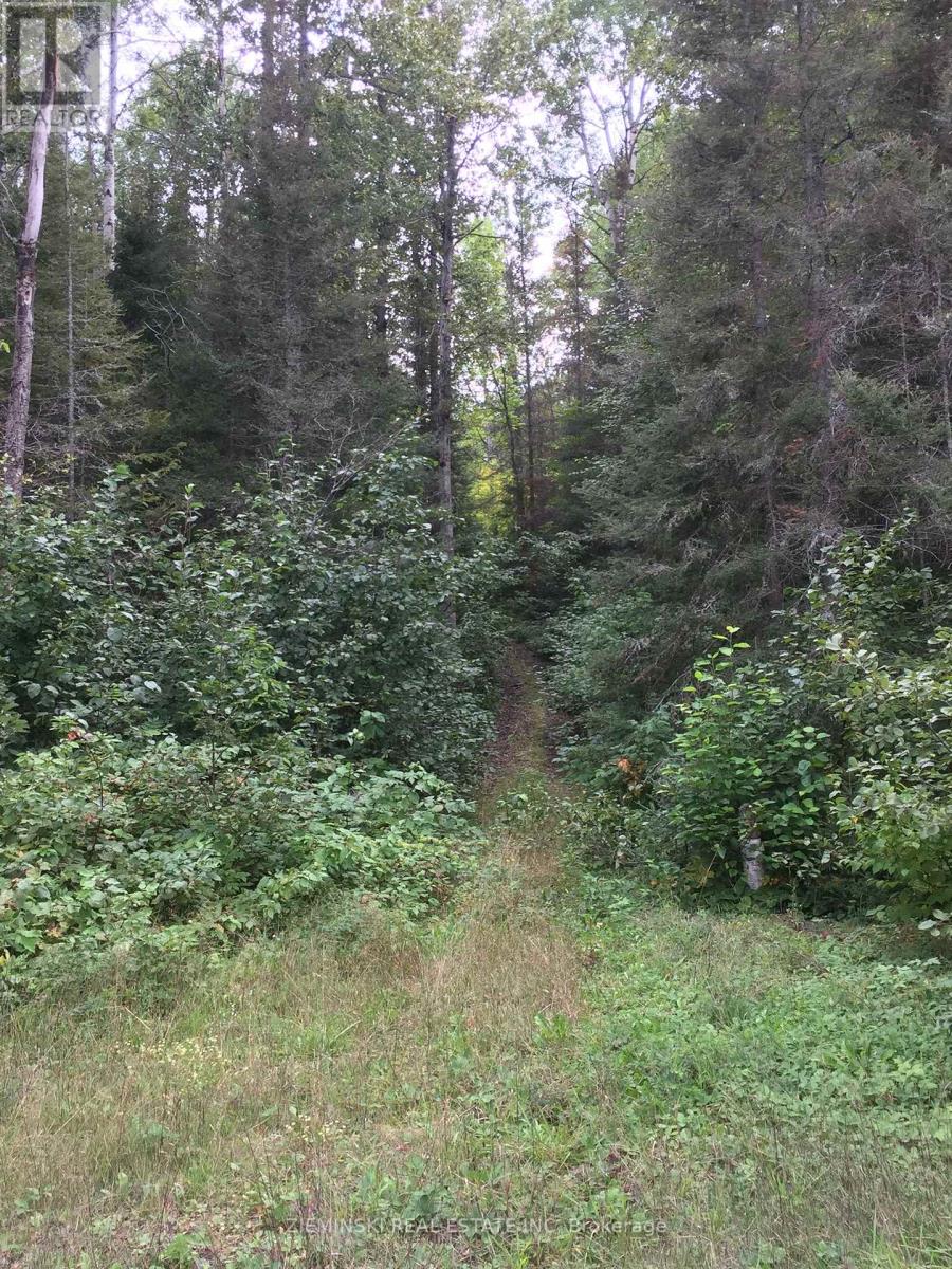 Pt Lot 2 Con 4 Coleman, Timiskaming, Ontario  P0J 1C0 - Photo 4 - T12400055