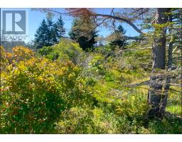 Lot Overton Road, South Chegoggin, Ca