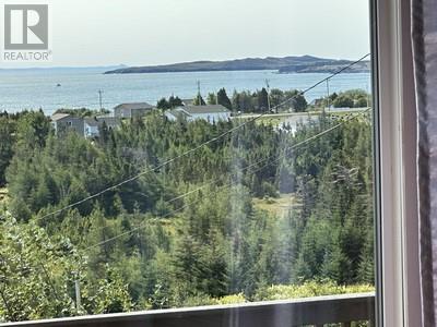 16 Johnsons Road, Gull Island, Newfoundland & Labrador  A0A 1M0 - Photo 5 - 1290831