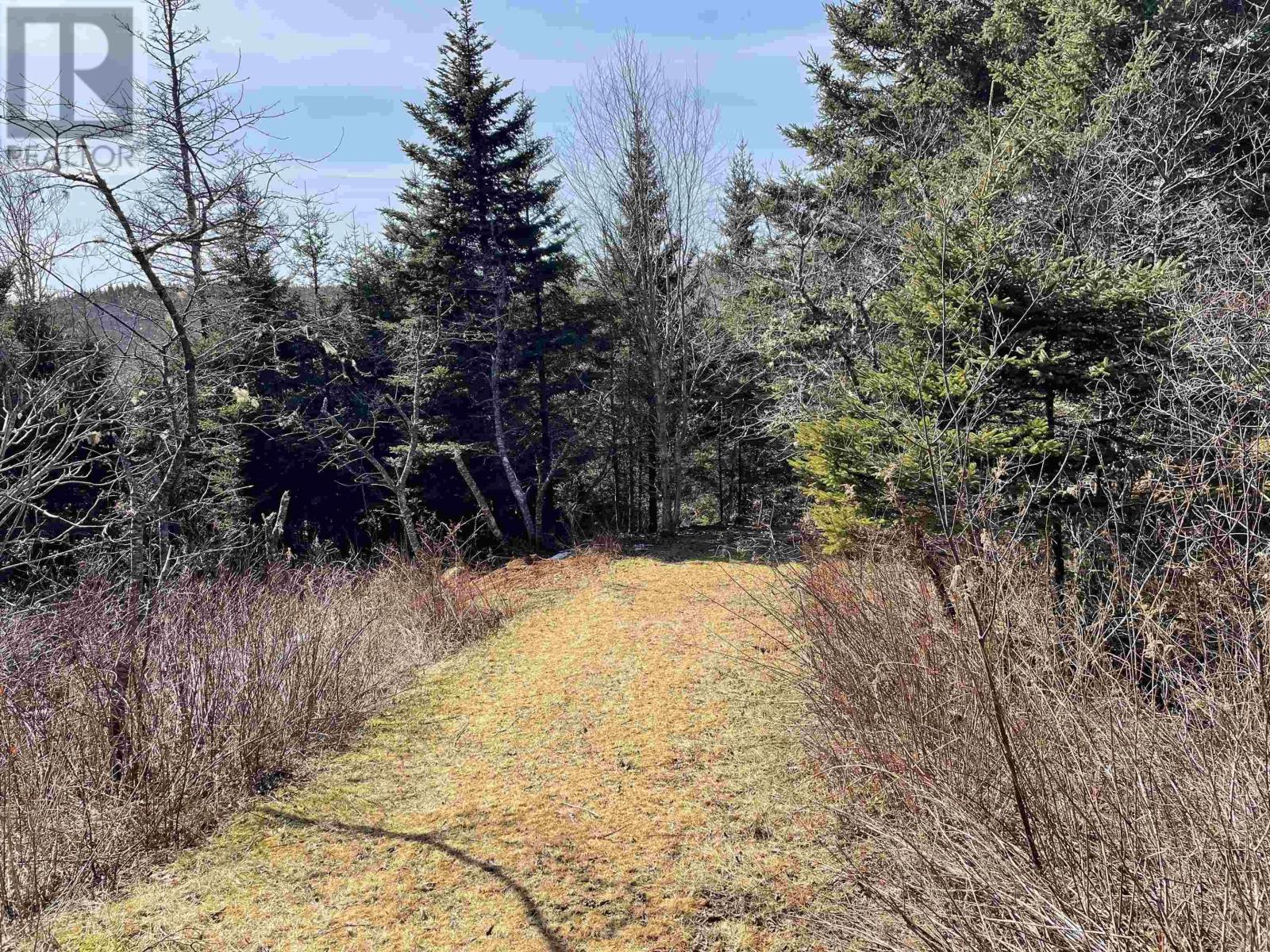 1095 New Harbour Lundy Road, Larry's River, Nova Scotia  B0H 1T0 - Photo 22 - 202504964