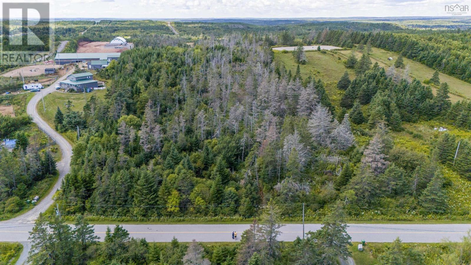 Lot 1 Conrod Road, Grand Desert, Nova Scotia  B0J 2L0 - Photo 15 - 202523160