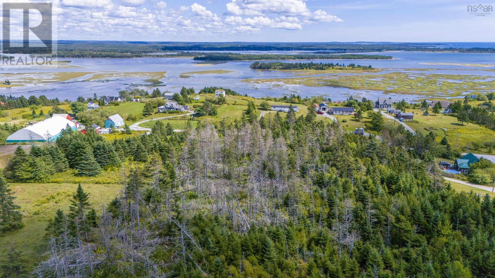 Lot 1 Conrod Road, Grand Desert, Nova Scotia  B0J 2L0 - Photo 6 - 202523160