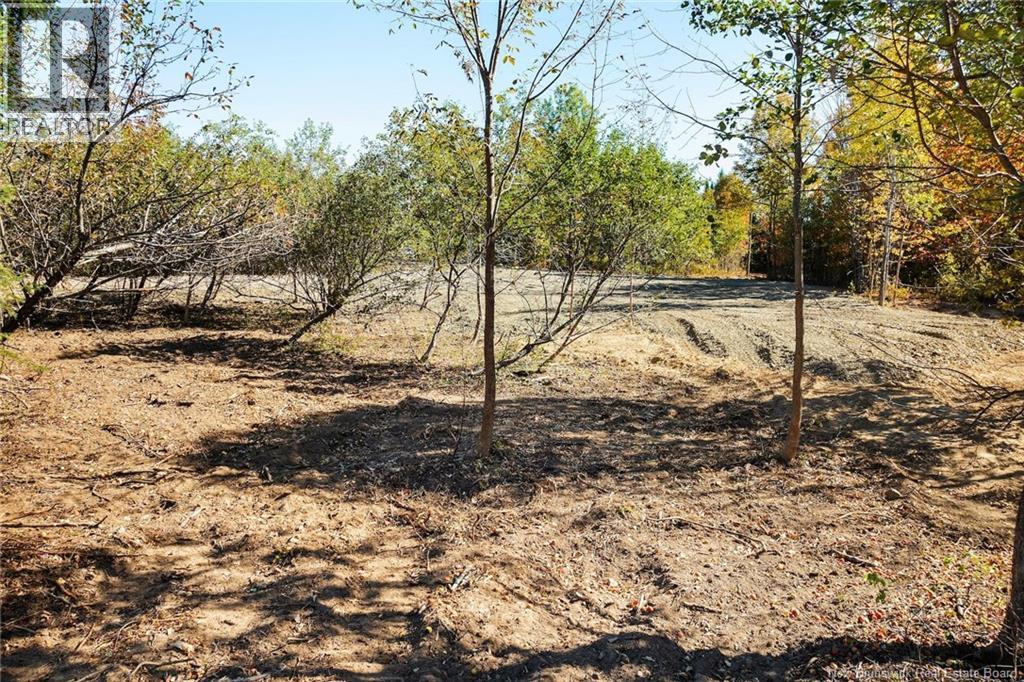 465 Central Hainesville Road, Lower Hainesville, New Brunswick  O0O 0O0 - Photo 10 - NB127252