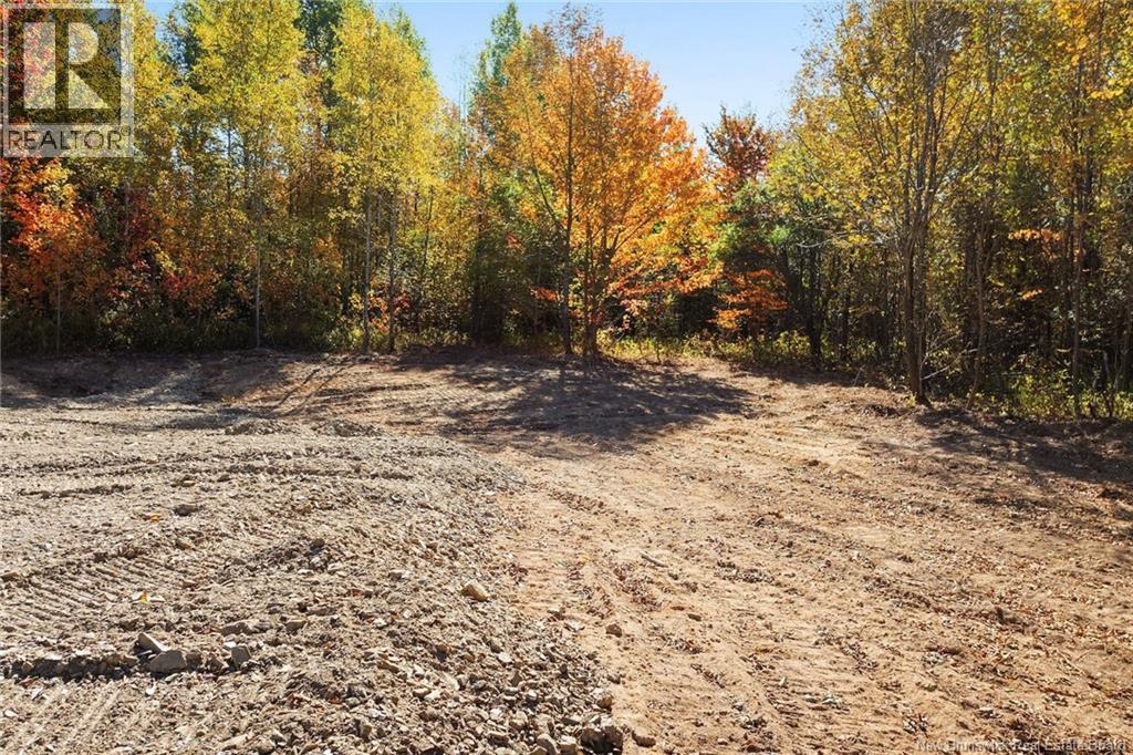 465 Central Hainesville Road, Lower Hainesville, New Brunswick  O0O 0O0 - Photo 11 - NB127252