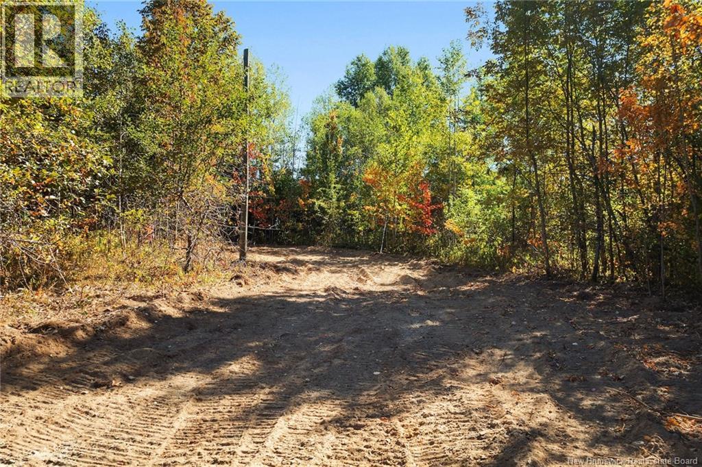 465 Central Hainesville Road, Lower Hainesville, New Brunswick  O0O 0O0 - Photo 15 - NB127252