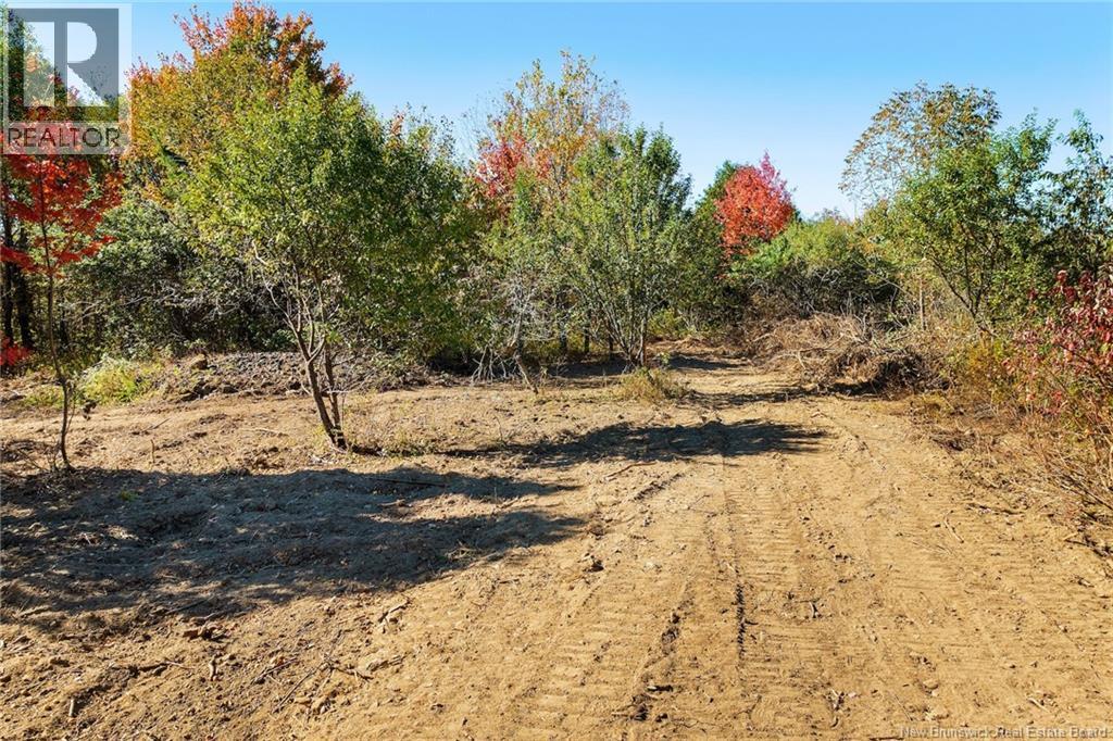 465 Central Hainesville Road, Lower Hainesville, New Brunswick  O0O 0O0 - Photo 7 - NB127252