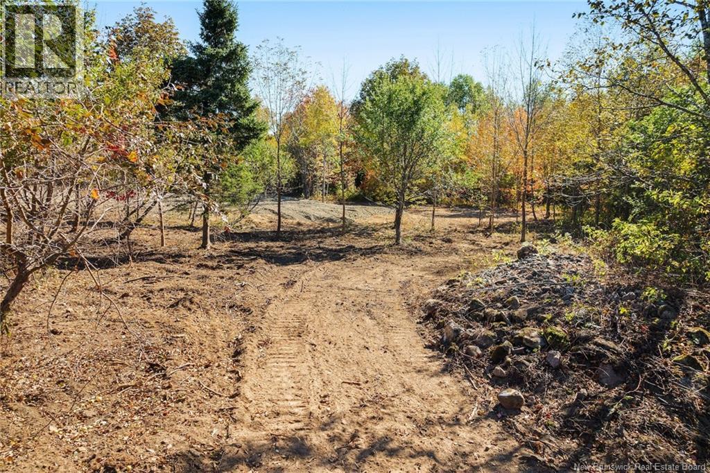 465 Central Hainesville Road, Lower Hainesville, New Brunswick  O0O 0O0 - Photo 8 - NB127252