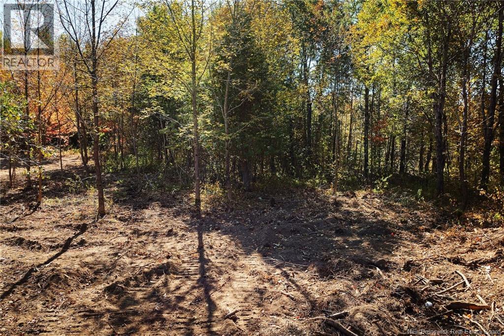 465 Central Hainesville Road, Lower Hainesville, New Brunswick  O0O 0O0 - Photo 9 - NB127252