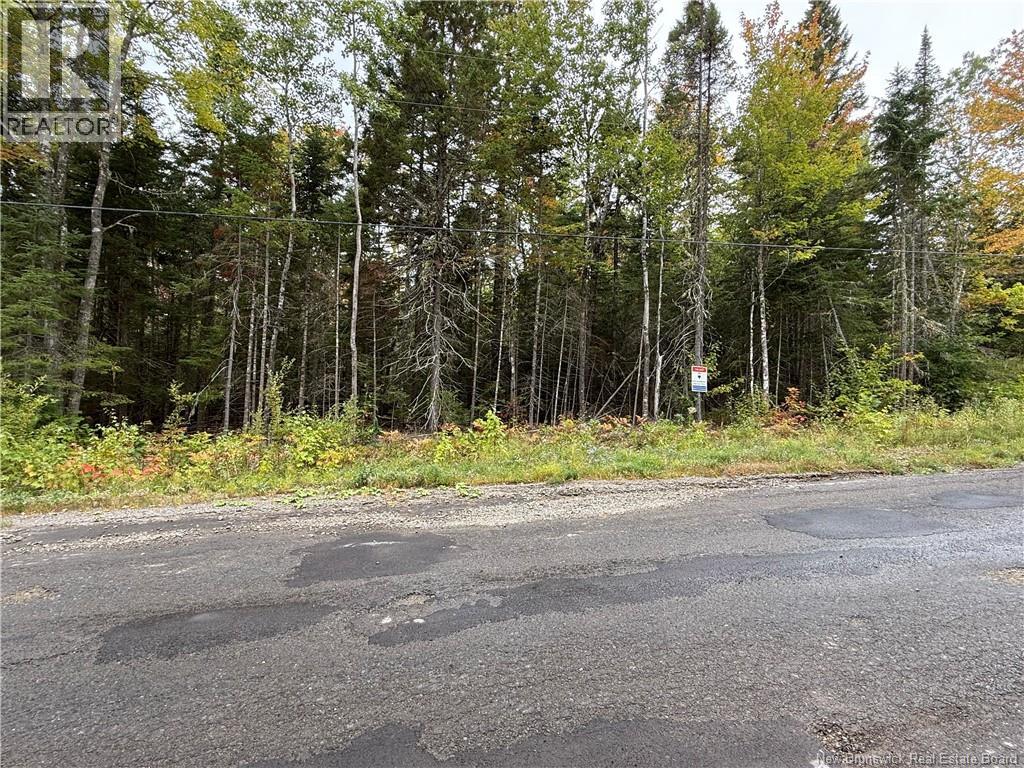 Lot Nickerson Point Road, Wickham, New Brunswick  E4C 6C2 - Photo 2 - NB127277