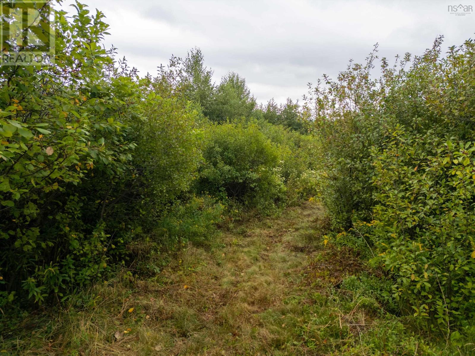 Vimy Road, North River, Nova Scotia  B2N 4K2 - Photo 15 - 202522082