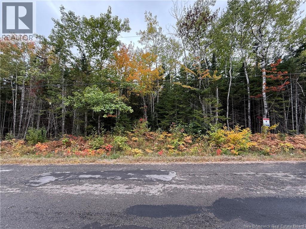Lot Nickerson Point Road, Wickham, New Brunswick  E4C 6C2 - Photo 2 - NB127276